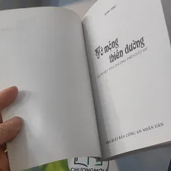 Vỡ Mộng Thiên Đường - Người Việt tha phương trên đất  Mỹ - Anh Thư 928493