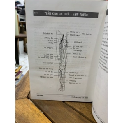 Giải phẫu chi trên- chi dưới -TS. Phạm Đăng Diệu 746254