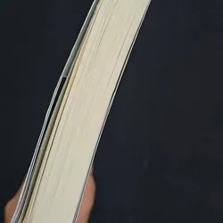 Con thú mù - Edogawa Ranpo 717742