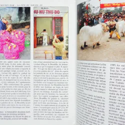 Việt Nam - Guide Nelles 565218