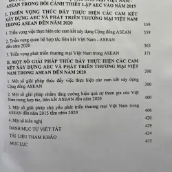 VAI TRÒ VÀ VỊ THẾ CỦA VIỆT NAM TRONG CỘNG ĐỒNG KINH TẾ ASEAN(Đông Nam Á) 702230
