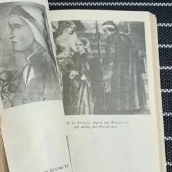 Đan-tê (Cu-Tô-Dôp) 777783