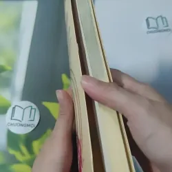 Hương Thiền Còn Đượm - Gunapayuta 1018908