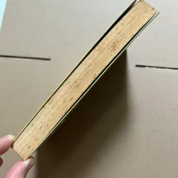 Những cuộc phiêu lưu của Tom Sawyer 960830