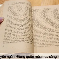 Truyện ngắn: ĐỪNG QUÊN MÙA HOA SĂNG LẺ 706294