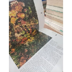 The essential flower arranger - Pamela Westland 1023659