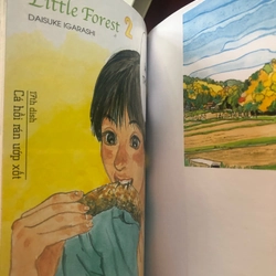 Little Forest - Daisuke Igarashi (box set, 2018) 325016