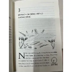 Não bộ không ngừng tiến hoá - Paul Howard-Jones 714462