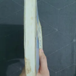 "Nhật ký" - Nicholas Spark 498950