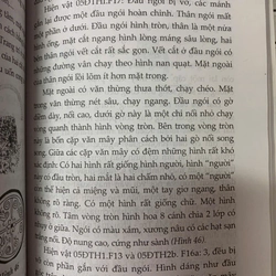 ĐỀN THƯỢNG CỔ LOA VÀ NHỮNG BÍ ẨN TRONG LÒNG ĐẤT - TS. LẠI VĂN TỚI 532027