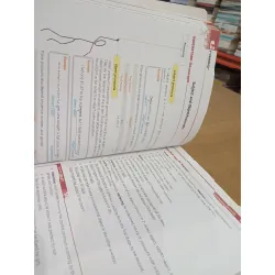 Spotlight on Literature student's book & workbook 574120