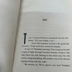 Taking sides - Gary soto 753374