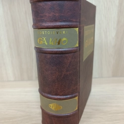 Gã khờ (Dostoievski) 496242