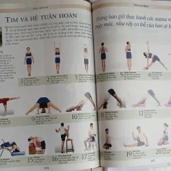 Kỹ Thuật và thực hành Yoga Toàn tập 716368