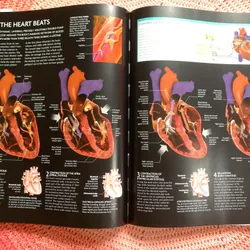 The Human Body Book: An Illustrated Guide to Its Structure, Function and Disorders. 646342