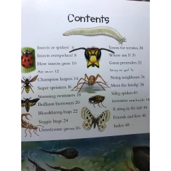 100 things you should know about Insects and Spiders mới 80% cong bìa nhẹ Miles Kelly HPB2607 NGOẠI VĂN 191300