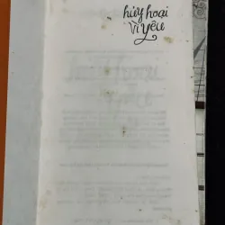 Combo 3c Nothomb 991071