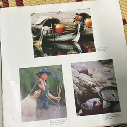 Đào hoa nữ Việt Nam quê hương tôi 726936