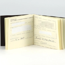 Louis Vuitton Magic Speedy Q221J SS Quartz - Hàng hiệu Authentic 875277