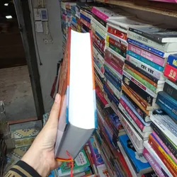 Người Lữ Hành Kỳ Dị- Harold Robbins 702792