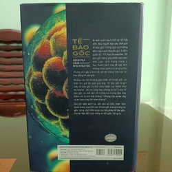 TẾ BÀO GỐC  505993