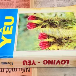 Tiểu thuyết Mỹ của nhà văn Danielle Steel: YÊU (398 trang) 993540