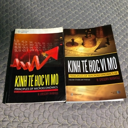 KINH TẾ VI MÔ và KINH TẾ VĨ MÔ 