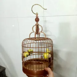 lồng khuyên , hút mật mini  1027616