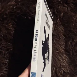 Là bóng hay là hình 738158