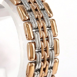 Đồng hồ Longines Reel RG Combo L4.360.1.12.7 SSxGP tự động - Hàng hiệu Chính hãng 876563