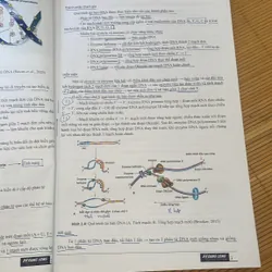 sách sinh học hoàng long 2024 tập 1 708594