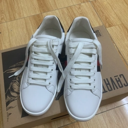 Giày Gucci trắng 459899