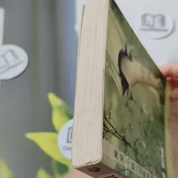 Có Duyên Nhất Định Sẽ Có Phận - Tào Đình 744694