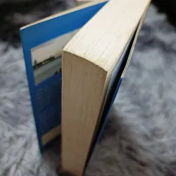 Biển và chim bói cá (Bùi Ngọc Tấn) 934469