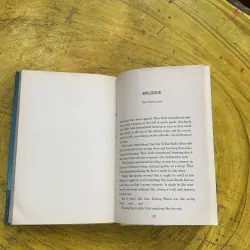 GOODBYE STRANGER - REBECCA STEAD 762299