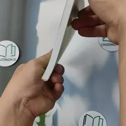 Trầu Không Xanh Lá - Cao Thanh Mai 798319