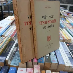 VIỆT NGỮ TINH NGHĨA TỪ ĐIỂN (2 TẬP) - LONG ĐIỀN NGUYỄN VĂN MINH 728425