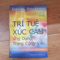 Trí tuệ xúc cảm trong công việc 790942