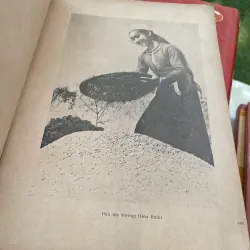 GÓP PHẦN TÌM HIỂU TỈNH HOÀ BÌNH - BÙI VĂN KÍN, MAI VĂN TRÍ, NGUYỄN PHỤNG  1029272