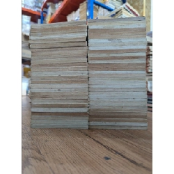 TRUYỆN TRANH DRAGON BALL 2003 (FULL/LẺ) 129786