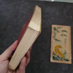 Tiểu thuyết lịch sử Nguyễn Du 737016