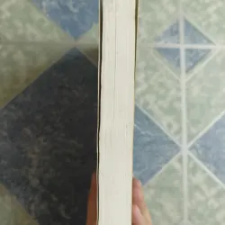 Tứ đại mỹ nhân Trung Quốc Vương Chiêu Quân - Kim Tư Đốn 689434