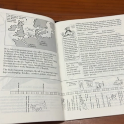 PICTURE BOOK Comparing languages 534177