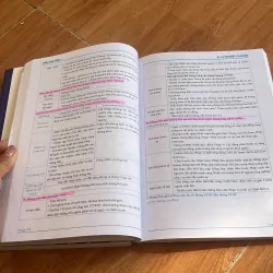 Giải mã 990+  929795