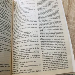 TỪ ĐIỂN TIẾNG VIỆT 1000538