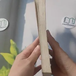 TP. Hồ Chí Minh: 100 Năm 100 Sự Kiện - Trần Nam Tiến 928524