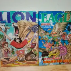 One Piece Color Walk t1-8 792810