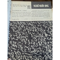 Tạp chí hương quê ( nguyệt san ) - nhiều tác giả 1006761