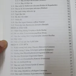 CÔN TRÙNG NHỆN GÂY HẠI CÂY ĂN TRÁI....  799628