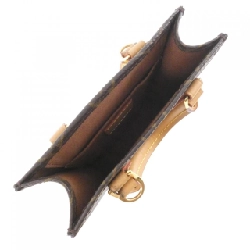 Túi xách Louis Vuitton Monogram Petit Sac Plat M81295 618164